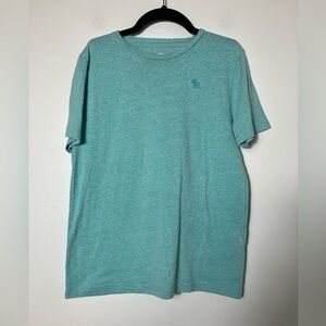 abercrombie fitch Boys Short Sleeve Tee Sz 11/12 blue/green Casual School